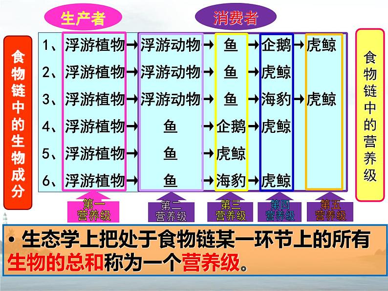 19.2生态系统中的能量流动和物质循环 课件（56）苏教版八年级生物上册第4页