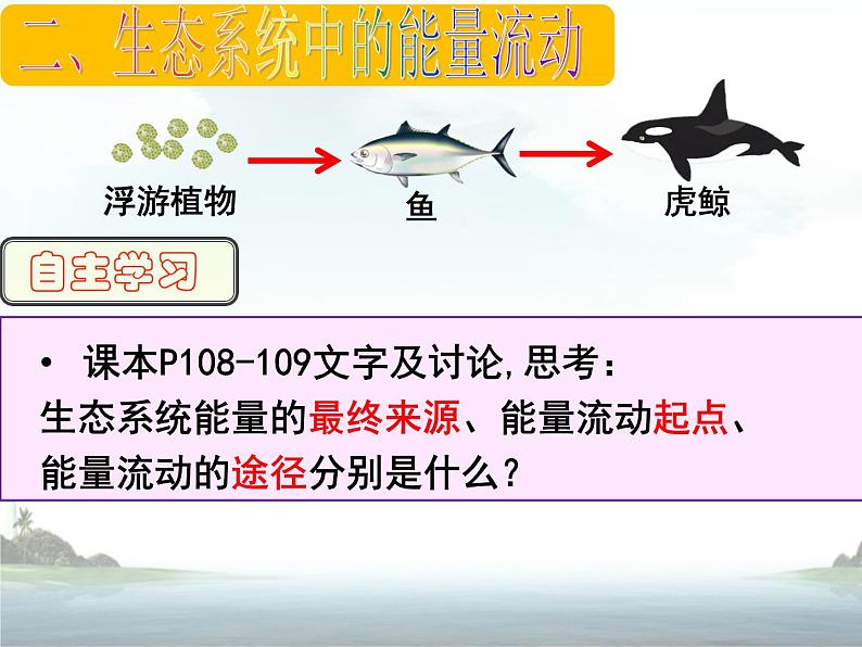 19.2生态系统中的能量流动和物质循环 课件（56）苏教版八年级生物上册第6页