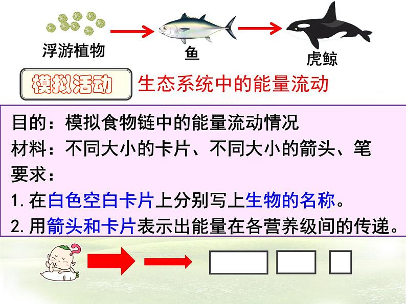 19.2生态系统中的能量流动和物质循环 课件（56）苏教版八年级生物上册第7页