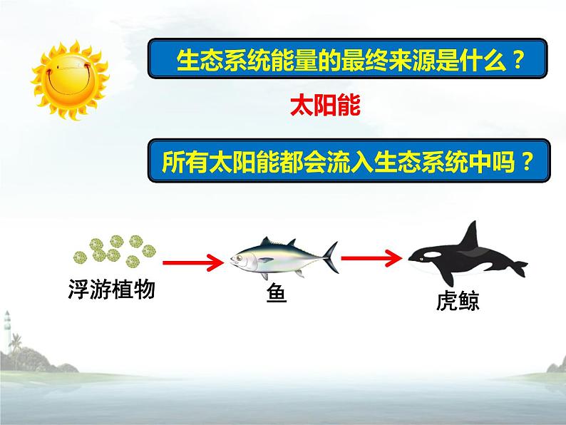 19.2生态系统中的能量流动和物质循环 课件（56）苏教版八年级生物上册第8页