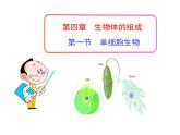 4.1单细胞生物 课件（29）苏教版七年级生物上册
