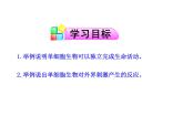 4.1单细胞生物 课件（29）苏教版七年级生物上册