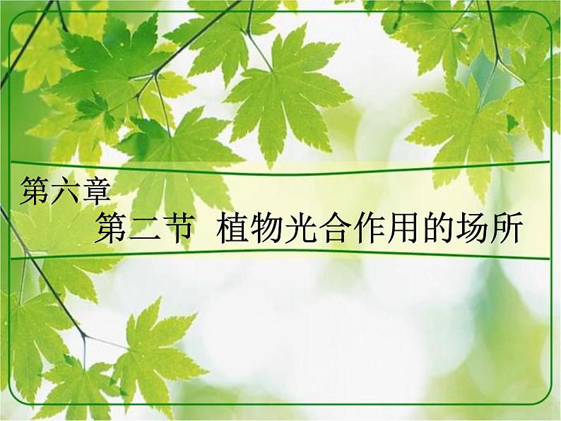 6.2植物光合作用的场所 课件（26）苏教版七年级生物上册第1页