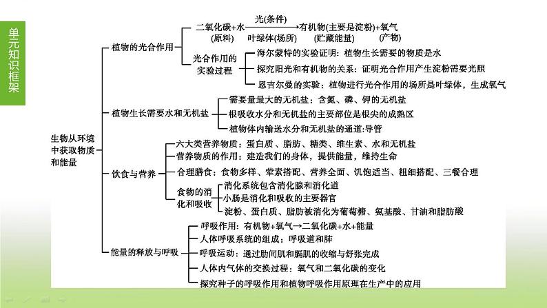 苏科版中考生物复习第三单元生物从环境中获取物质和能量第03课时绿色植物是有机物的生产者课件第1页