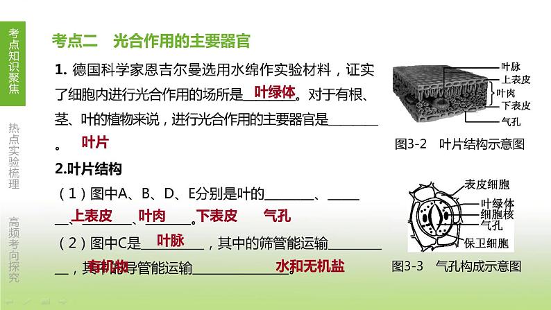 苏科版中考生物复习第三单元生物从环境中获取物质和能量第03课时绿色植物是有机物的生产者课件第6页