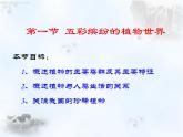 14.1五彩缤纷的植物世界 课件（5）苏教版八年级生物上册