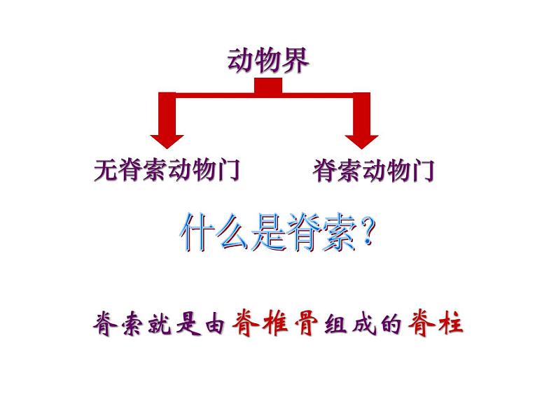 14.2千姿百态的动物世界 课件（5）苏教版八年级生物上册02