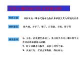 14.2千姿百态的动物世界 课件（5）苏教版八年级生物上册