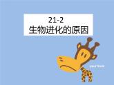 北师大版生物八年级下册 第21章 生命的发生和发展-第2节 生物的进化-第2课时 生物进化的原因课件PPT