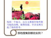 北师大版生物八年级下册 第21章 生命的发生和发展-第2节 生物的进化-第2课时 生物进化的原因课件PPT