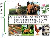 苏教版八年级上册生物第十五章第一节《生物多样性》课件