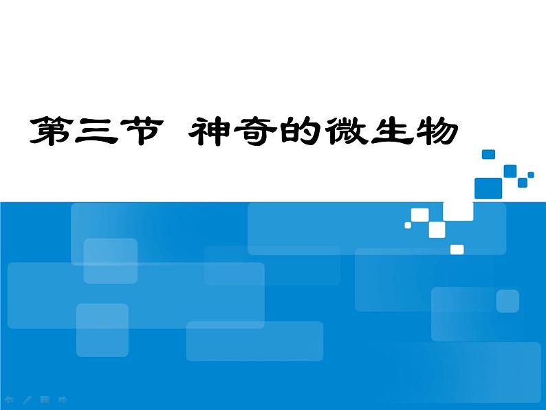 苏教版八年级上册生物第十四章第三节神奇的微生物 课件第1页