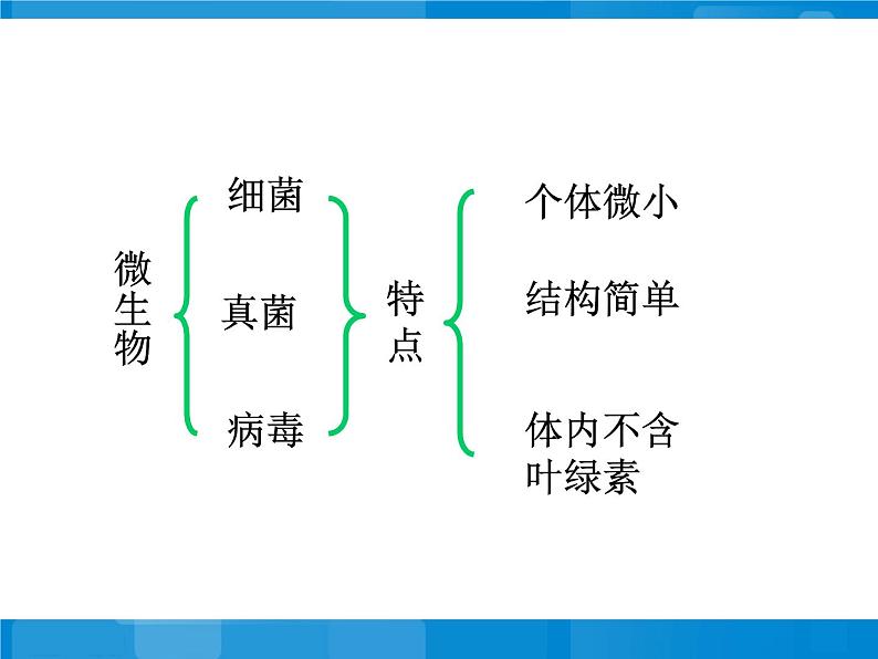 苏教版八年级上册生物第十四章第三节神奇的微生物 课件第2页