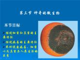 苏教版八年级上册生物第十四章第三节《神奇的微生物》课件