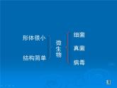 苏教版八年级上册生物第十四章第三节《神奇的微生物》课件