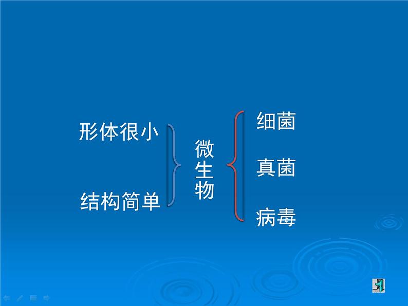 苏教版八年级上册生物第十四章第三节《神奇的微生物》课件第2页