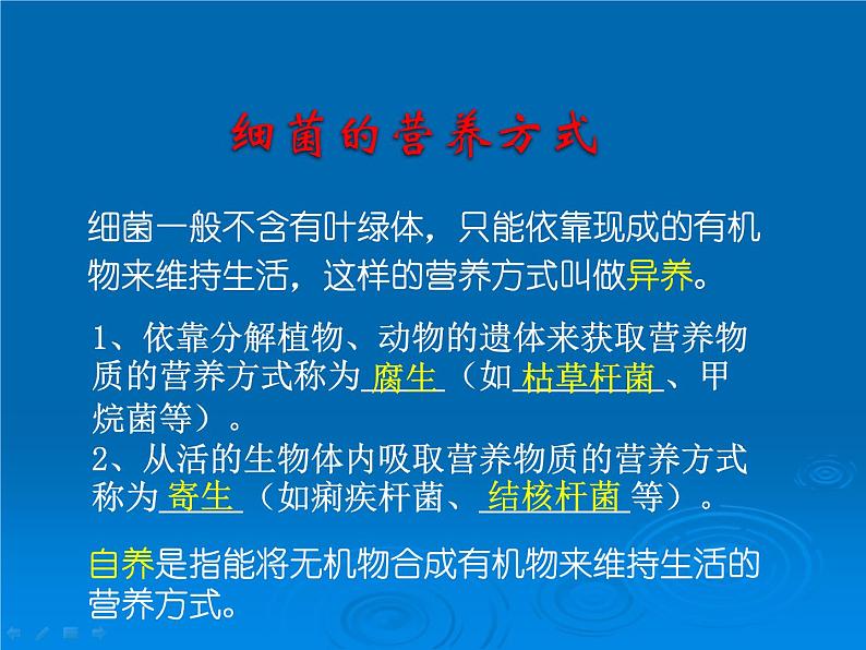 苏教版八年级上册生物第十四章第三节《神奇的微生物》课件第7页