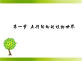 苏教版八年级上册生物第十四章第一节《五彩缤纷的植物世界》课件