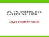 苏教版八年级上册生物第十四章第一节《五彩缤纷的植物世界》课件