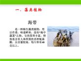 苏教版八年级上册生物第十四章第一节《五彩缤纷的植物世界》课件