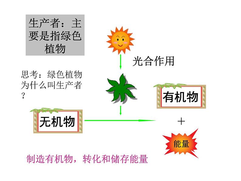 19.1生态系统的组成 课件（15）苏教版八年级生物上册07