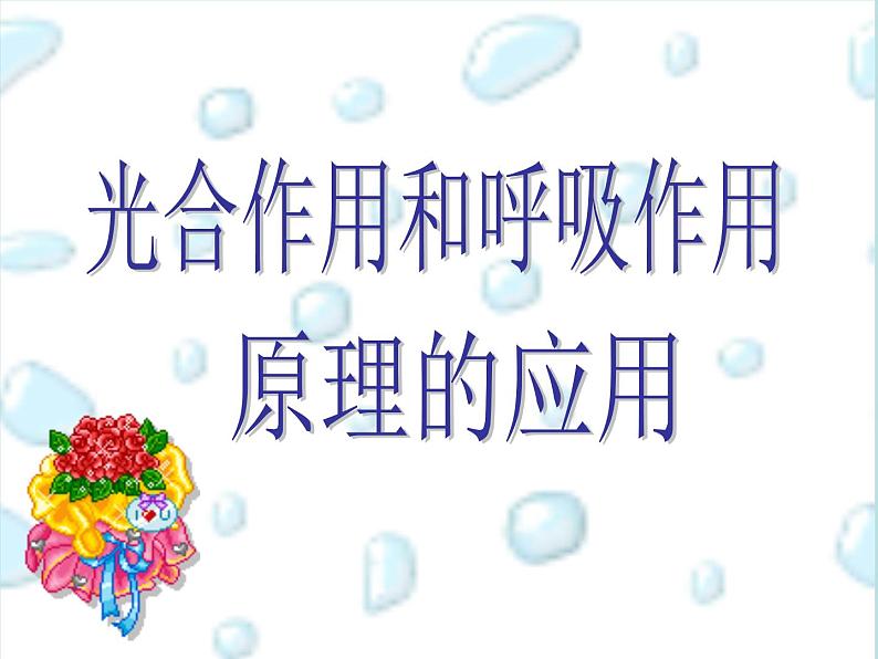 6.5光合作用和呼吸作用原理的应用 课件（26）苏教版七年级生物上册第三单元01