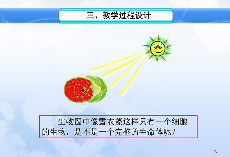 4.1单细胞生物 课件（28）苏教版七年级生物上册第二单元第5页