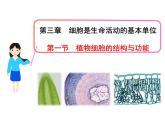 3.1植物细胞的结构和功能 课件（33）苏教版七年级生物上册第二单元