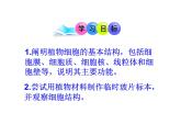 3.1植物细胞的结构和功能 课件（33）苏教版七年级生物上册第二单元