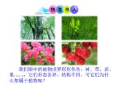 3.1植物细胞的结构和功能 课件（33）苏教版七年级生物上册第二单元