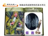 3.1植物细胞的结构和功能 课件（33）苏教版七年级生物上册第二单元