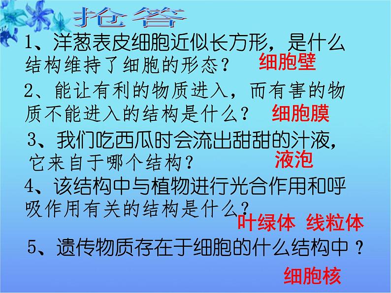 人和动物细胞的结构和功能PPT课件免费下载03