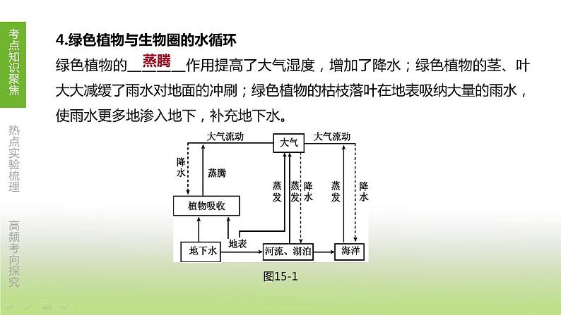 苏科版中考生物一轮复习第六单元生命活动的调节和生态系统的稳定第15课时生态系统的稳定课件第4页