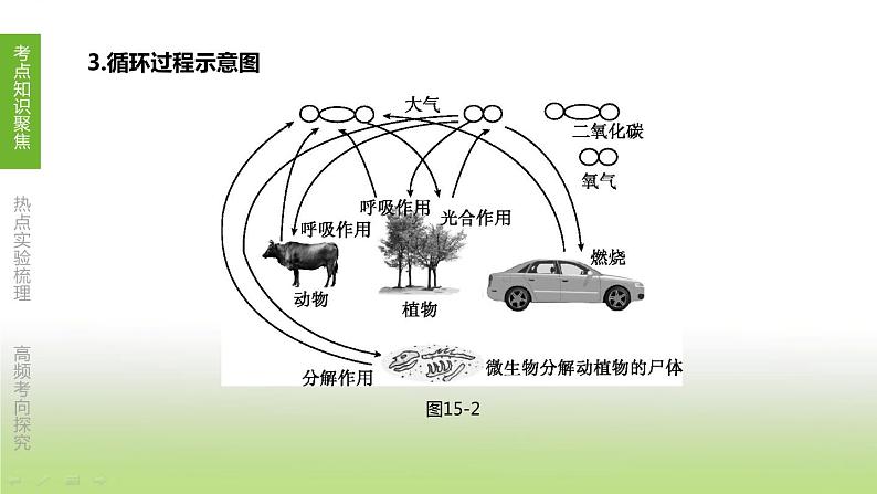 苏科版中考生物一轮复习第六单元生命活动的调节和生态系统的稳定第15课时生态系统的稳定课件第7页