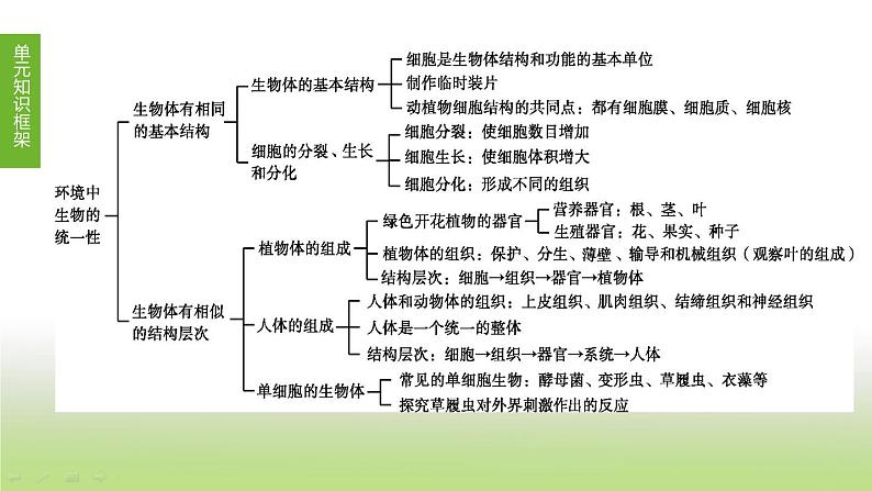 苏科版中考生物复习第四单元环境中生物的统一性第06课时生物体有相同的基本结构和相似的结构层次课件第1页