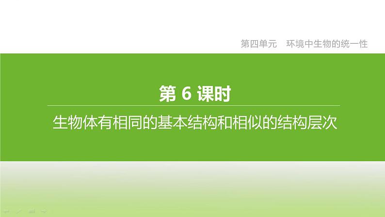 苏科版中考生物复习第四单元环境中生物的统一性第06课时生物体有相同的基本结构和相似的结构层次课件第2页