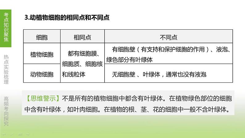 苏科版中考生物复习第四单元环境中生物的统一性第06课时生物体有相同的基本结构和相似的结构层次课件第5页