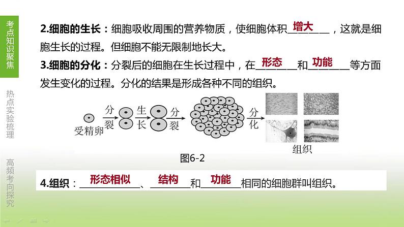 苏科版中考生物复习第四单元环境中生物的统一性第06课时生物体有相同的基本结构和相似的结构层次课件第7页