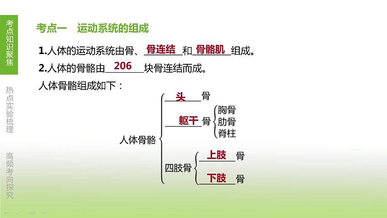 苏科版中考生物复习第六单元生命活动的调节和生态系统的稳定第14课时动物的运动和行为课件第2页