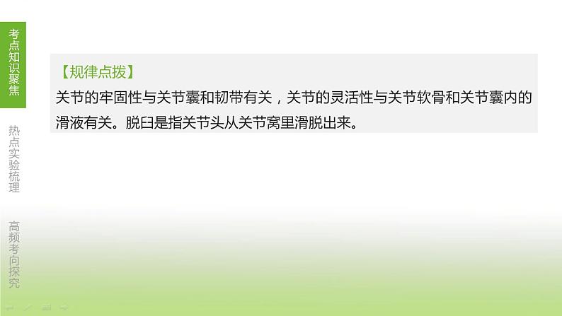 苏科版中考生物复习第六单元生命活动的调节和生态系统的稳定第14课时动物的运动和行为课件第6页