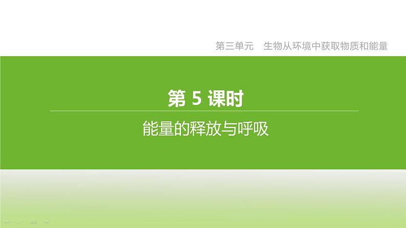 苏科版中考生物复习第三单元生物从环境中获取物质和能量第05课时能量的释放与呼吸课件第1页