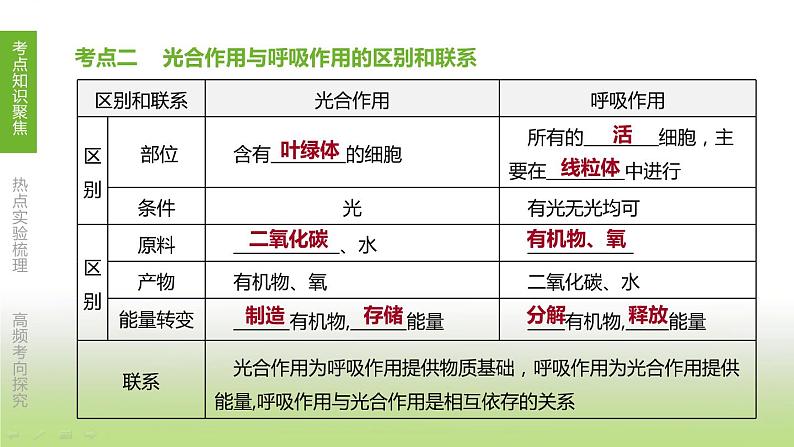 苏科版中考生物复习第三单元生物从环境中获取物质和能量第05课时能量的释放与呼吸课件第4页