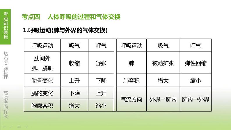 苏科版中考生物复习第三单元生物从环境中获取物质和能量第05课时能量的释放与呼吸课件第8页