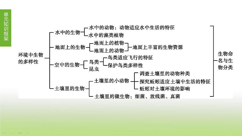 苏科版中考生物复习第五单元环境中生物的多样性第07课时水中和地面上的生物课件第1页