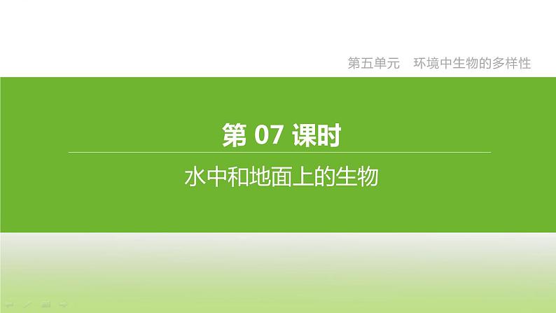 苏科版中考生物复习第五单元环境中生物的多样性第07课时水中和地面上的生物课件第2页