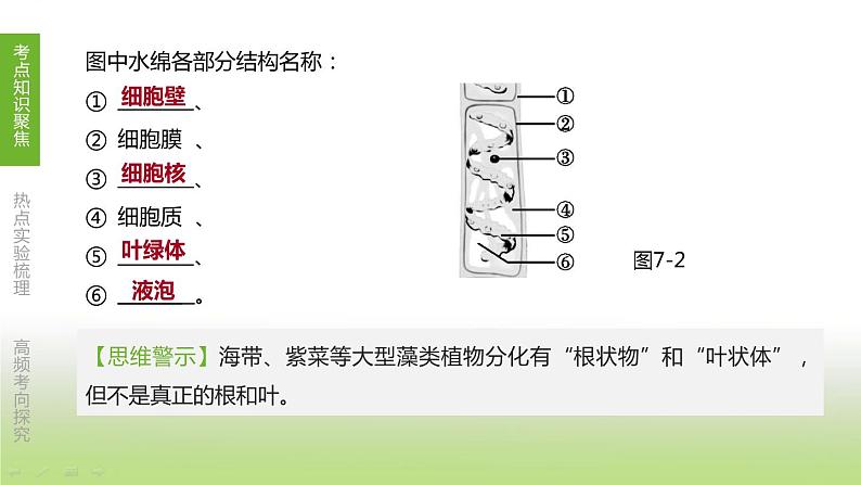 苏科版中考生物复习第五单元环境中生物的多样性第07课时水中和地面上的生物课件第7页