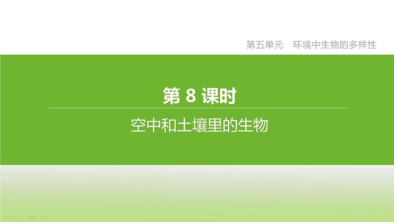 苏科版中考生物复习第五单元环境中生物的多样性第08课时空中和土壤里的生物课件第1页