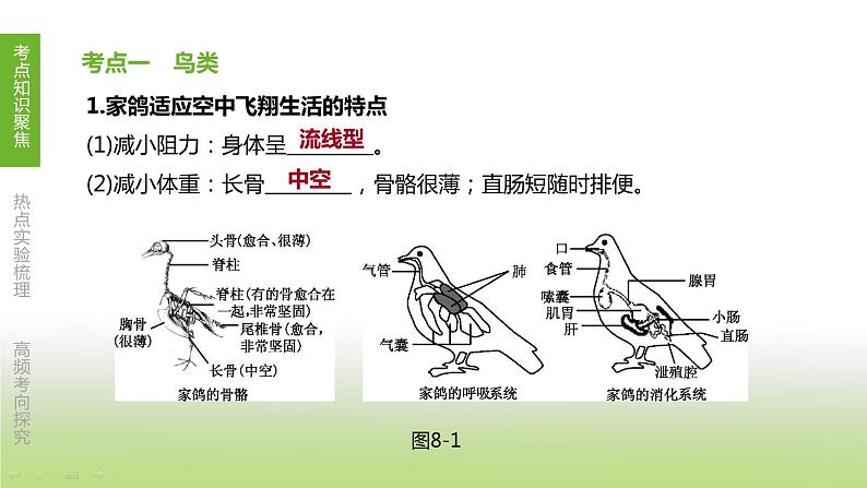 苏科版中考生物复习第五单元环境中生物的多样性第08课时空中和土壤里的生物课件第2页