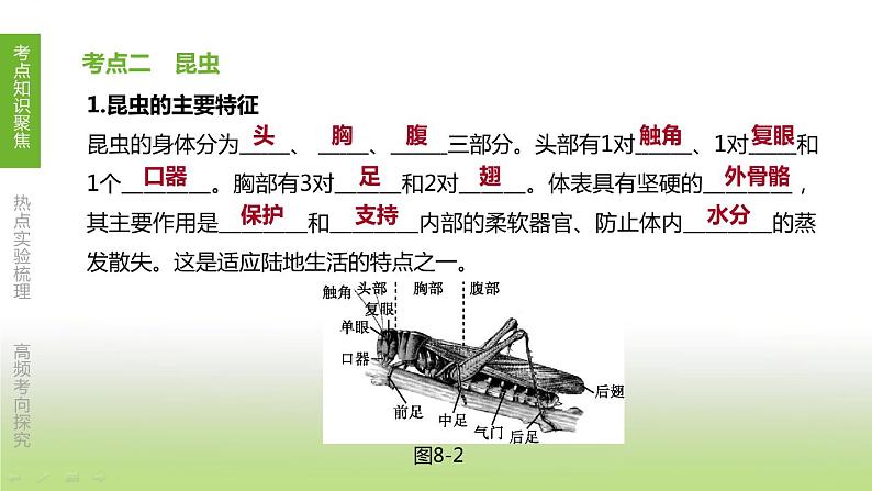 苏科版中考生物复习第五单元环境中生物的多样性第08课时空中和土壤里的生物课件第5页