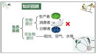 生物第五单元 生物圈中的其他生物第三章 动物在生物圈中的作用评课ppt课件